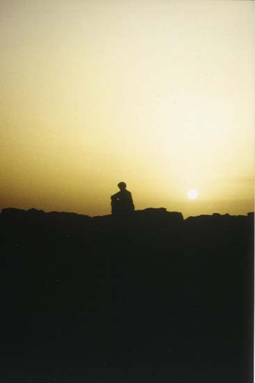 Foto0003