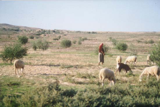 Foto0063