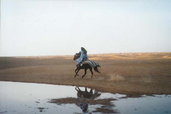 Foto0076