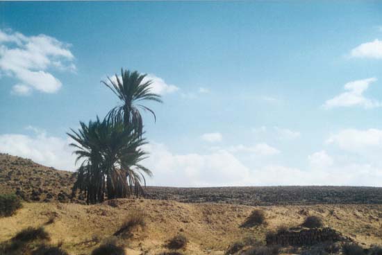 Foto0102