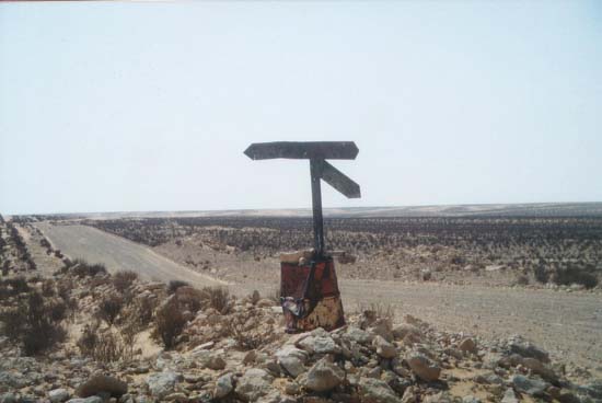 Foto0119