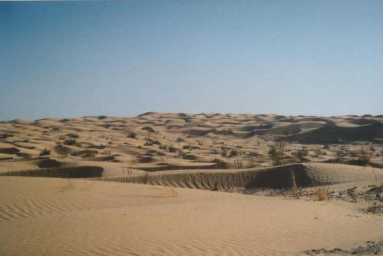 Foto0128