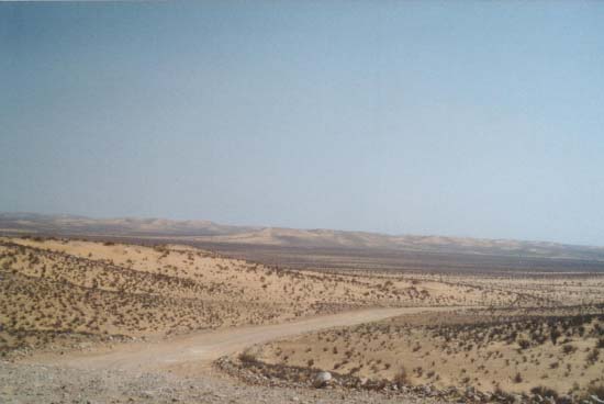 Foto0155