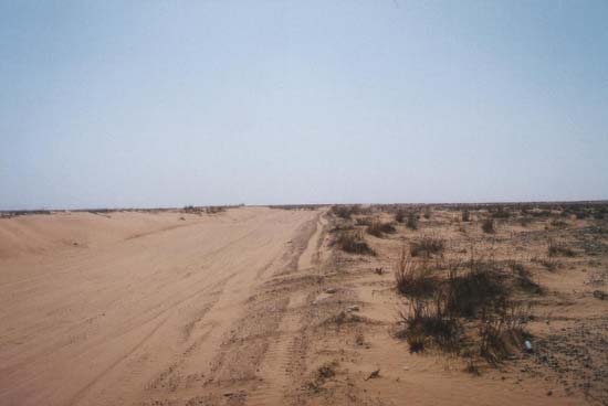 Foto0239