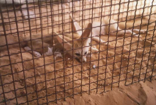 Foto0243