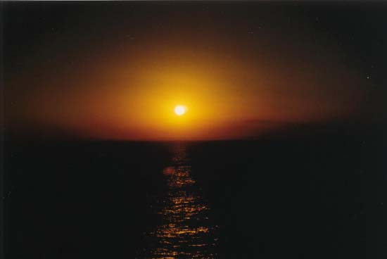 Foto0253
