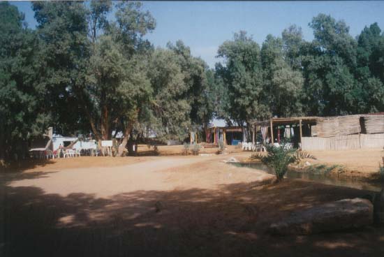 foto0290