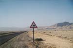 Foto0005