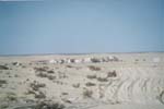 Foto0057