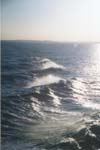 Foto0177