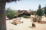 Foto0234