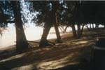 foto0310